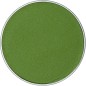 Aquacolor Grass Green 042 Cialda Da 45gr Colore Truccabimbi Ad Acqua