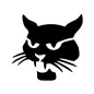 Stencil Adesivo 11500 Cat Wild