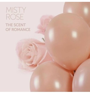 25 Palloncini Rosa Brumoso/Misty Rose 099 19"/48cm Palloncini Rotondi