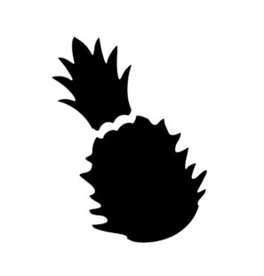 Stencil Adesivo 58702 Pineapple