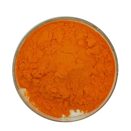 Colorante in Polvere per Alimenti 2gr Giallo Arancio