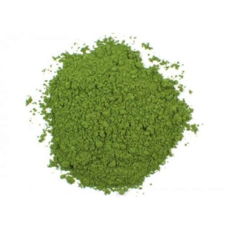 Colorante in Polvere per Alimenti 2gr Verde