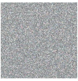 Glitter in Contenitore Laser Silver 402 - 75gr