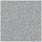 Glitter in Contenitore Laser Silver 402 - 75gr